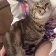 ヒメ日記 2025/08/25 12:09 投稿 かおり ノーブラで誘惑する奥さん谷九・日本橋