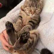 ヒメ日記 2025/09/03 14:35 投稿 かおり ノーブラで誘惑する奥さん谷九・日本橋