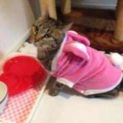 ヒメ日記 2025/10/31 16:55 投稿 かおり ノーブラで誘惑する奥さん谷九・日本橋