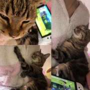 ヒメ日記 2025/11/10 13:05 投稿 かおり ノーブラで誘惑する奥さん谷九・日本橋