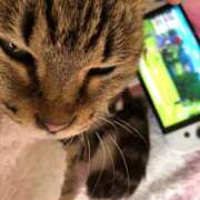 ヒメ日記 2025/12/28 17:55 投稿 かおり ノーブラで誘惑する奥さん谷九・日本橋