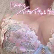 ヒメ日記 2026/02/08 18:23 投稿 さとみ ノーブラで誘惑する奥さん谷九・日本橋