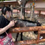 ヒメ日記 2025/08/01 19:08 投稿 らん ノーブラで誘惑する奥さん谷九・日本橋