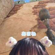 ヒメ日記 2025/10/04 16:37 投稿 あまね ノーブラで誘惑する奥さん谷九・日本橋