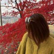 アリナ 🎍🤍 RING