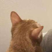 ヒメ日記 2026/02/15 15:38 投稿 すず ノーブラで誘惑する奥さん谷九・日本橋