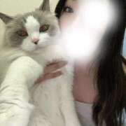 ヒメ日記 2026/04/11 13:09 投稿 すず ノーブラで誘惑する奥さん谷九・日本橋