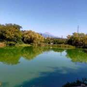 ヒメ日記 2025/07/29 12:40 投稿 れいか 熟女の風俗最終章 沼津店