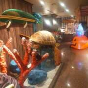 ヒメ日記 2025/10/20 17:12 投稿 れいか 熟女の風俗最終章 沼津店