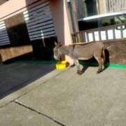 ヒメ日記 2026/01/16 12:38 投稿 れいか 熟女の風俗最終章 沼津店