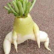 ヒメ日記 2025/07/30 19:27 投稿 ふみ しろうとCollection