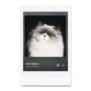 ヒメ日記 2025/08/05 18:37 投稿 ふみ しろうとCollection