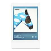 ヒメ日記 2025/08/20 13:37 投稿 ふみ しろうとCollection