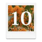 ヒメ日記 2025/10/09 15:57 投稿 ふみ しろうとCollection