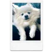 ヒメ日記 2025/11/29 13:27 投稿 ふみ しろうとCollection