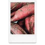 ふみ わらしべ長者 しろうとCollection