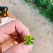 ヒメ日記 2025/12/26 18:52 投稿 ふみ しろうとCollection