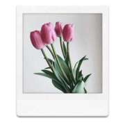 ヒメ日記 2026/01/23 21:47 投稿 ふみ しろうとCollection