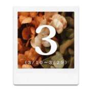 ヒメ日記 2026/02/24 16:17 投稿 ふみ しろうとCollection