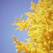 ヒメ日記 2025/10/05 13:57 投稿 つきの しろうとCollection