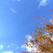 ヒメ日記 2025/12/14 11:57 投稿 つきの しろうとCollection