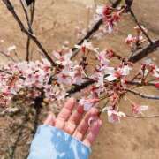 ヒメ日記 2026/02/23 11:57 投稿 つきの しろうとCollection