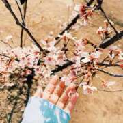 ヒメ日記 2026/04/10 22:07 投稿 つきの しろうとCollection