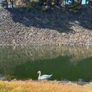 ヒメ日記 2025/11/30 13:50 投稿 はづき ウルトラホワイト