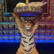 ヒメ日記 2025/12/03 17:40 投稿 はづき ウルトラホワイト