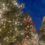 はづき 🎄✨ ウルトラホワイト