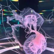 ヒメ日記 2025/12/26 16:20 投稿 はづき ウルトラホワイト