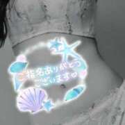 ヒメ日記 2025/07/30 17:02 投稿 天才知的アスティー にゃんだ☆full☆MIX（にゃんだふるみっくす）