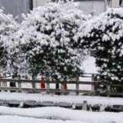 ヒメ日記 2026/02/08 14:04 投稿 ゆうな ニューヨークニューヨーク