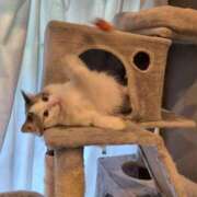 ヒメ日記 2025/09/16 20:56 投稿 つばめ 姫コレクション 高崎前橋店