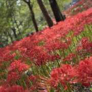 ヒメ日記 2025/10/20 19:56 投稿 窪塚あゆり 宇都宮CLUB