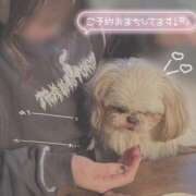 ヒメ日記 2026/02/15 10:07 投稿 窪塚あゆり 宇都宮CLUB