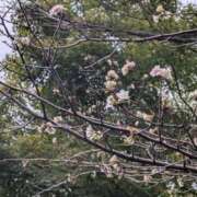 玉置(たまき) こんばんは！ 相模原人妻城