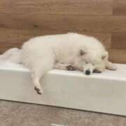 ヒメ日記 2025/09/20 22:03 投稿 らむ ぽちゃ巨乳専門　新大久保・新宿歌舞伎町ちゃんこ