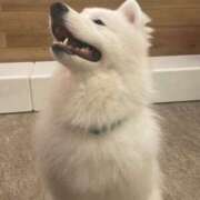 らむ ♡急遽♡ ぽちゃ巨乳専門　新大久保・新宿歌舞伎町ちゃんこ