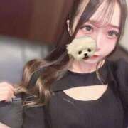 ヒメ日記 2025/09/15 10:23 投稿 あげは BLUE BIRD (ブルーバード) 上越