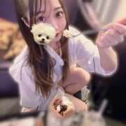 あげは 死因：ギャップ萌え❓ BLUE BIRD (ブルーバード) 上越