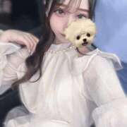 ヒメ日記 2025/12/11 10:23 投稿 あげは BLUE BIRD (ブルーバード) 上越