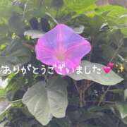 ヒメ日記 2025/07/21 23:24 投稿 ことみ 千葉松戸ちゃんこ