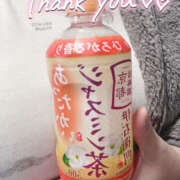 ヒメ日記 2025/11/17 11:12 投稿 ことみ 千葉松戸ちゃんこ