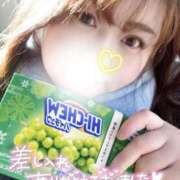 ヒメ日記 2025/12/29 12:06 投稿 ことみ 千葉松戸ちゃんこ