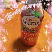 ヒメ日記 2026/02/24 14:08 投稿 ことみ 千葉松戸ちゃんこ