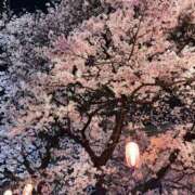 ヒメ日記 2026/03/31 19:09 投稿 ことみ 千葉松戸ちゃんこ