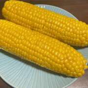 ヒメ日記 2026/09/29 21:43 投稿 ことみ 千葉松戸ちゃんこ