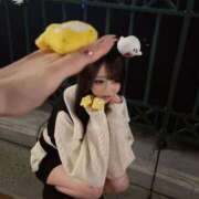 ヒメ日記 2025/08/05 21:00 投稿 井ノ上たきな 水戸ソープ アイドル彼女