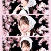 ヒメ日記 2026/04/10 12:02 投稿 井ノ上たきな 水戸ソープ アイドル彼女